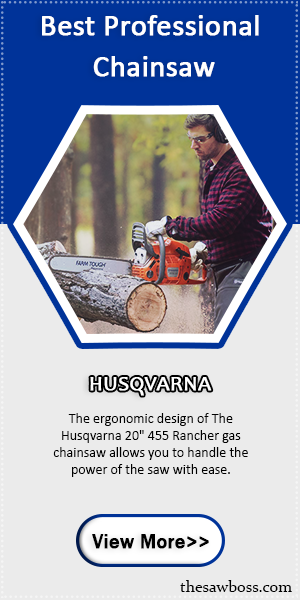 Best Professional Chainsaw